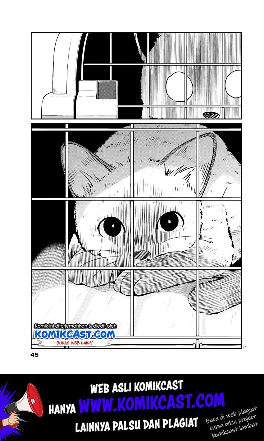 Halaman 35 — Kekkon suru tte, Hontou desu ka Chapter 1