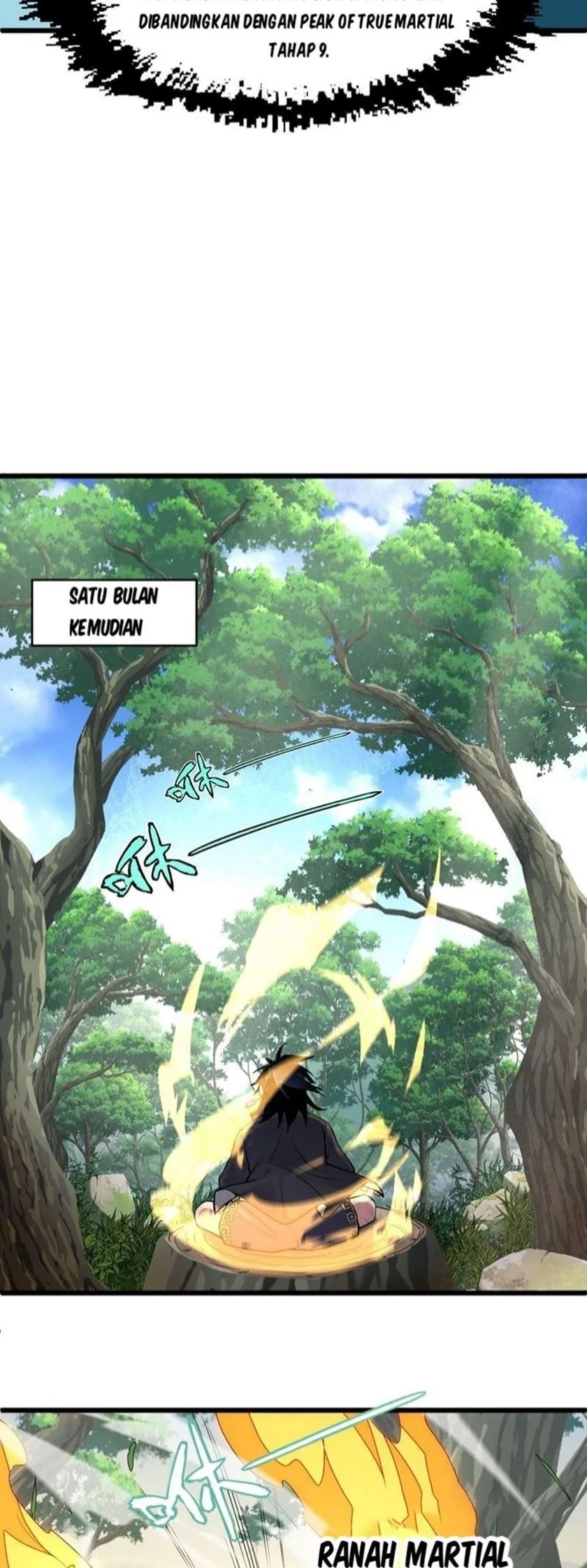 Halaman 30 — Second Fight Against the Heavens Chapter 2